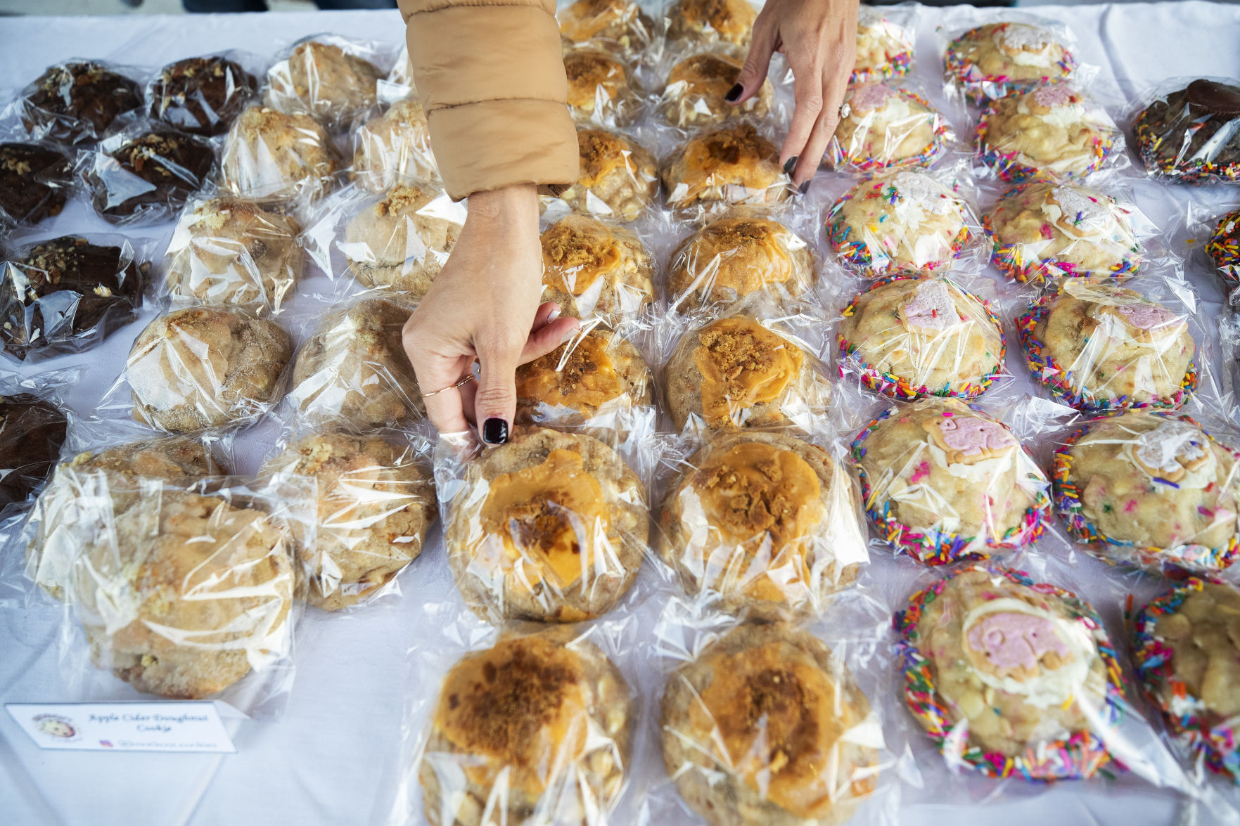 hands with cookies.jpg